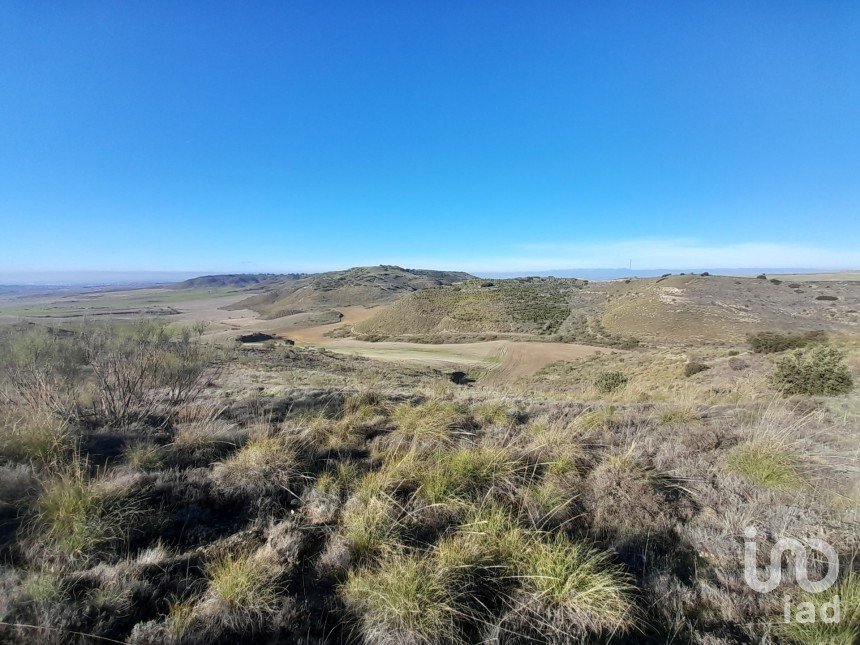 Terreny de 27.760 m² a Los Santos de la Humosa (28817)