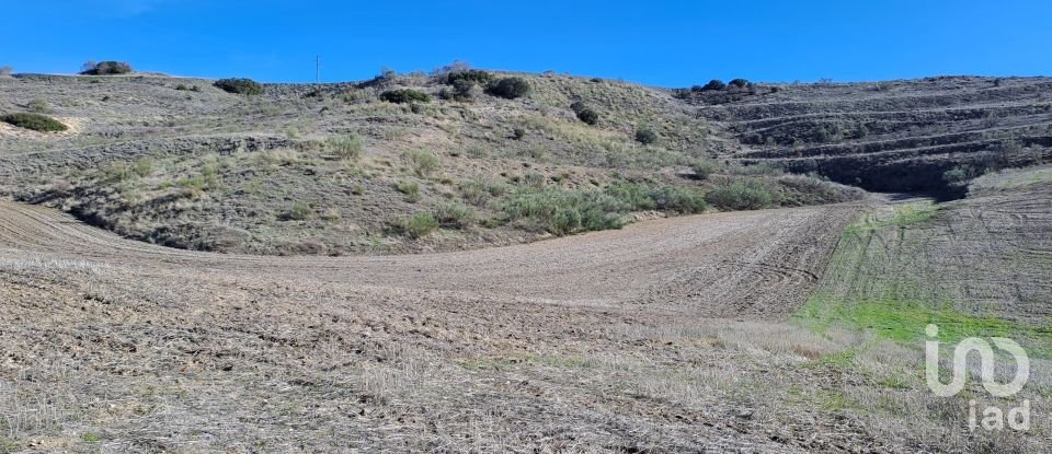 Terreny de 27.760 m² a Los Santos de la Humosa (28817)