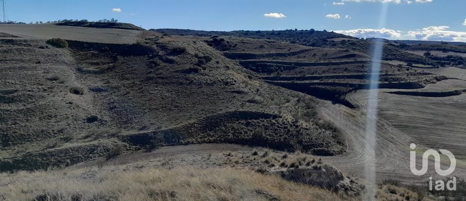 Terreny de 27.760 m² a Los Santos de la Humosa (28817)