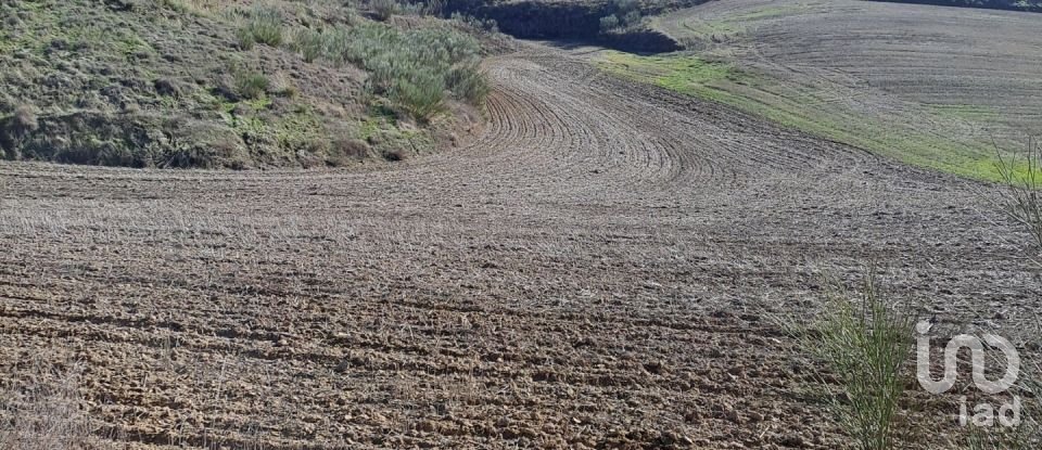 Terreny de 27.760 m² a Los Santos de la Humosa (28817)