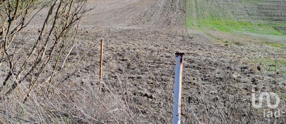 Terreny de 27.760 m² a Los Santos de la Humosa (28817)