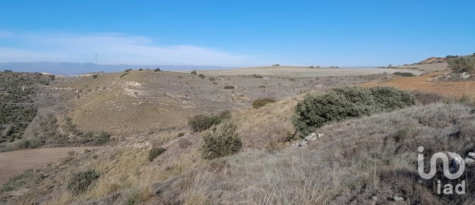 Terreny de 27.760 m² a Los Santos de la Humosa (28817)