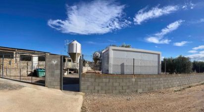 Building plot of 8,000 m² in Llorenç del Penedès (43712)