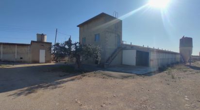 Building plot of 8,000 m² in Llorenç del Penedès (43712)