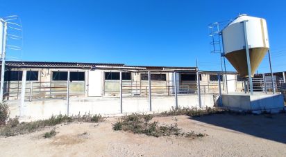 Building plot of 8,000 m² in Llorenç del Penedès (43712)