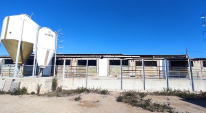 Building plot of 8,000 m² in Llorenç del Penedès (43712)