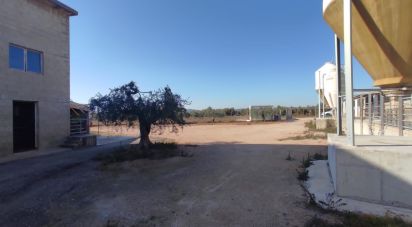 Building plot of 8,000 m² in Llorenç del Penedès (43712)