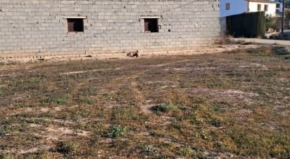 Land of 5,000 m² in Purias (30813)