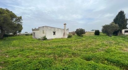 Casa de pueblo 0 habitaciones de 32 m² en Cartaya (21450)