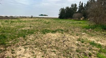 Casa de pueblo 0 habitaciones de 32 m² en Cartaya (21450)