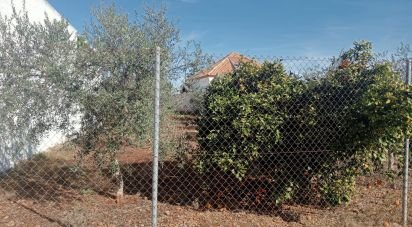 Land of 1,200 m² in Cañada Rosal (41439)