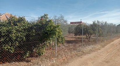 Land of 1,200 m² in Cañada Rosal (41439)