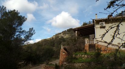 Maison 3 chambres de 174 m² à Llucmajor (07620)