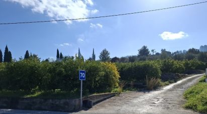 Land of 2,275 m² in Benidoleig (03759)