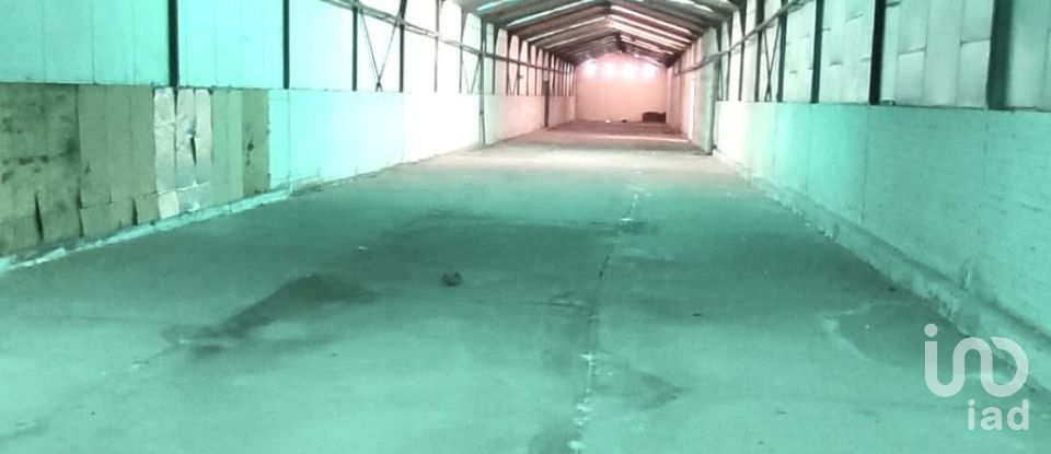 Actividades locales de 1.840 m² en Ribaseca (24391)