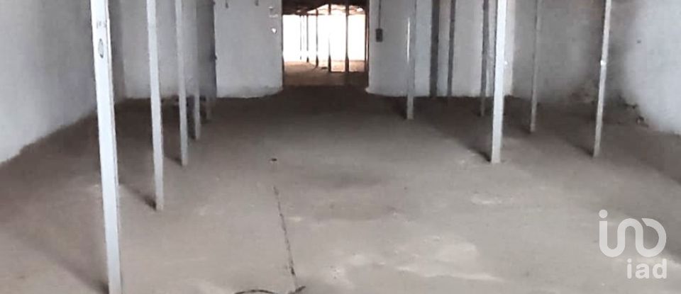 Actividades locales de 1.840 m² en Ribaseca (24391)