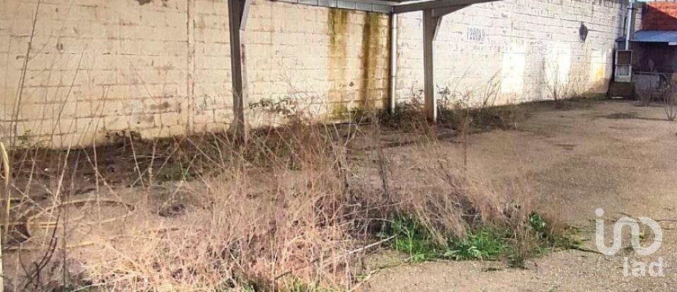 Actividades locales de 1.840 m² en Ribaseca (24391)