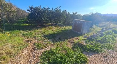 Farm land of 2,439 m² in Pego (03780)