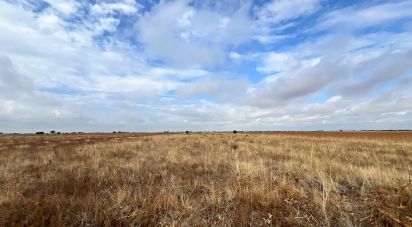 Terrain de 13 830 m² à Benazolve (24233)