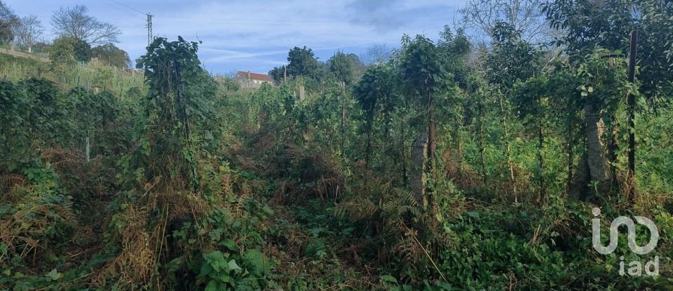 Terreno de 595 m² en Vigo (36313)