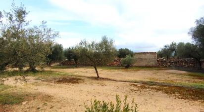 Terrain de 6 717 m² à Ginestar (43748)