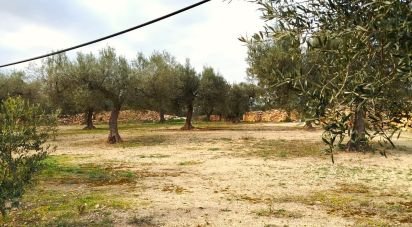 Terrain de 6 717 m² à Ginestar (43748)
