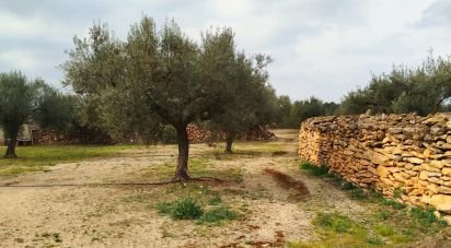 Terrain de 6 717 m² à Ginestar (43748)