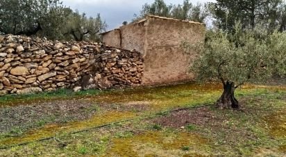 Terrain de 6 717 m² à Ginestar (43748)