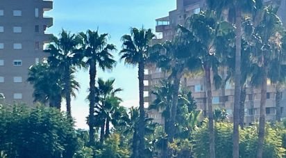 Apartment 2 bedrooms of 60 m² in Oropesa/Oropesa del Mar (12594)