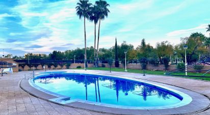 Apartment 2 bedrooms of 60 m² in Oropesa/Oropesa del Mar (12594)