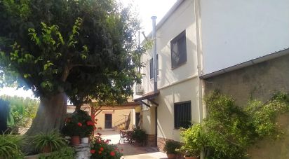 Country home 5 bedrooms of 1,172 m² in Benissanet (43747)