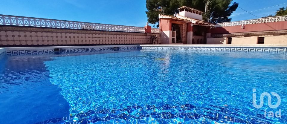 Maison 7 chambres de 466 m² à Colonia Escandinavia / Escandinavia (03580)