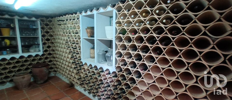 Maison 7 chambres de 466 m² à Colonia Escandinavia / Escandinavia (03580)