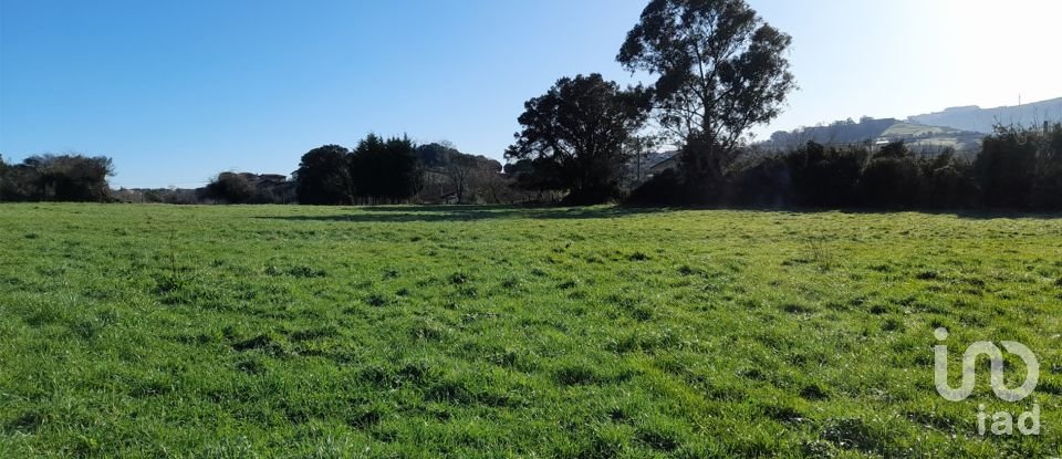 Terreny de 7.044 m² a Abanto-Zierbena (48500)