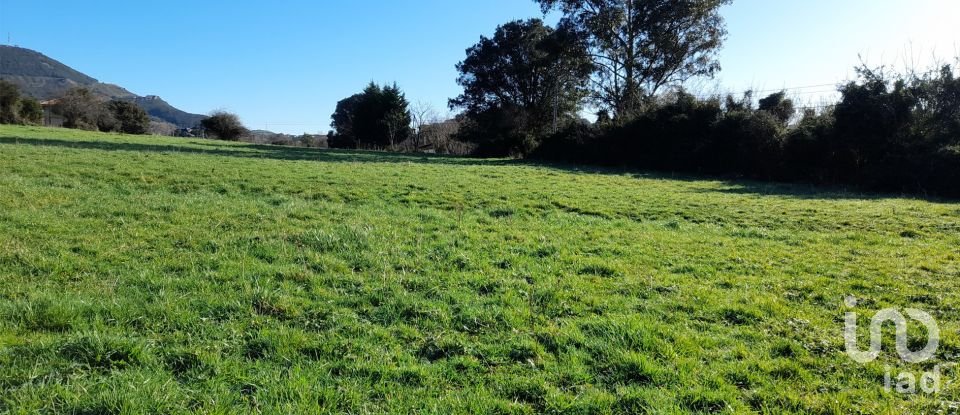 Terreny de 7.044 m² a Abanto-Zierbena (48500)