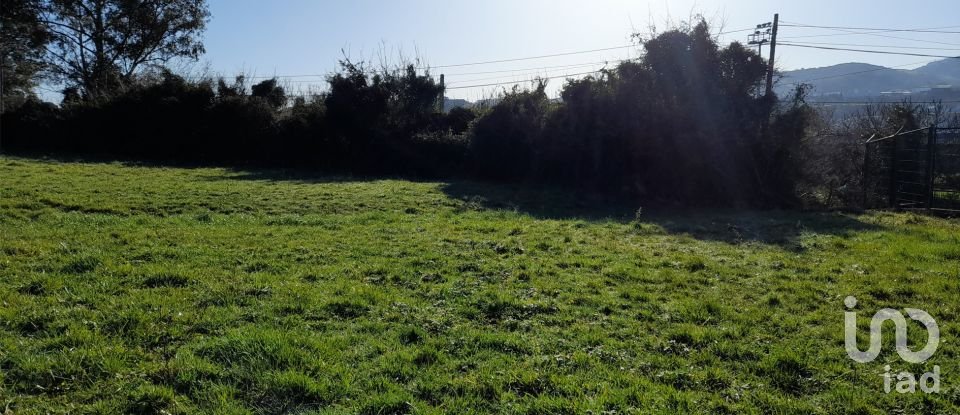 Terreny de 7.044 m² a Abanto-Zierbena (48500)