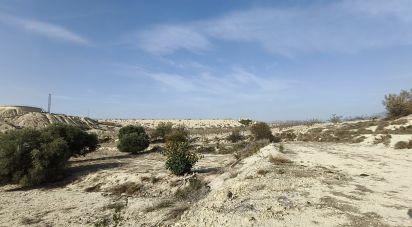 Terreny de 12.025 m² a Fortuna (30620)