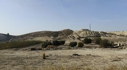 Terreny de 12.025 m² a Fortuna (30620)