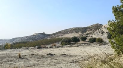 Terreny de 12.025 m² a Fortuna (30620)