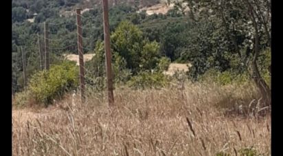 Farm land of 11,402 m² in Vilanova de La Muga (17492)