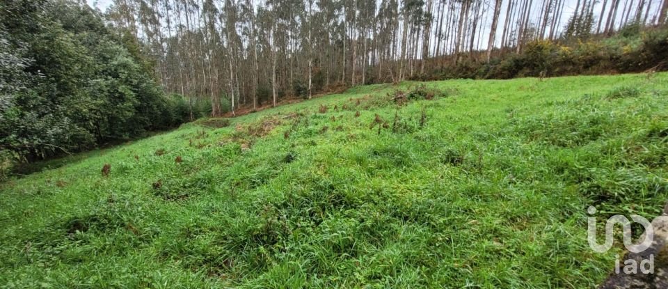 Casa 4 habitaciones de 350 m² en San Acisclo do Valadouro (27786)