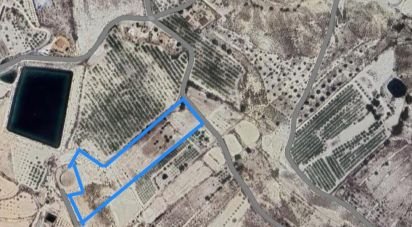 Terreny de 12.025 m² a Fortuna (30620)