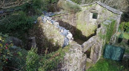 Maison rustique 1 chambre de 120 m² à Fragas (36118)