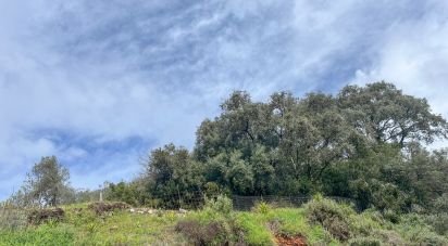 Land of 6,000 m² in Galaroza (21291)