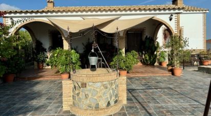 Land of 6,516 m² in Cartaya (21450)