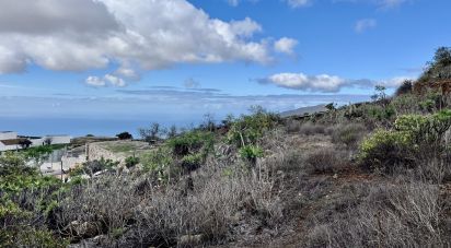 Land of 2,774 m² in Vilaflor (38613)