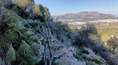 Land of 1,103 m² in Urbanización Monte Sella / Muntanya de La Sella (03750)