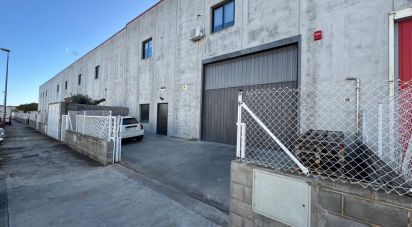 Shop / premises commercial of 506 m² in Roda de Bara (43883)