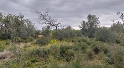 Terreno de 2.488 m² en Tivenys (43511)