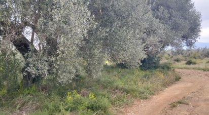 Terreno de 2.488 m² en Tivenys (43511)